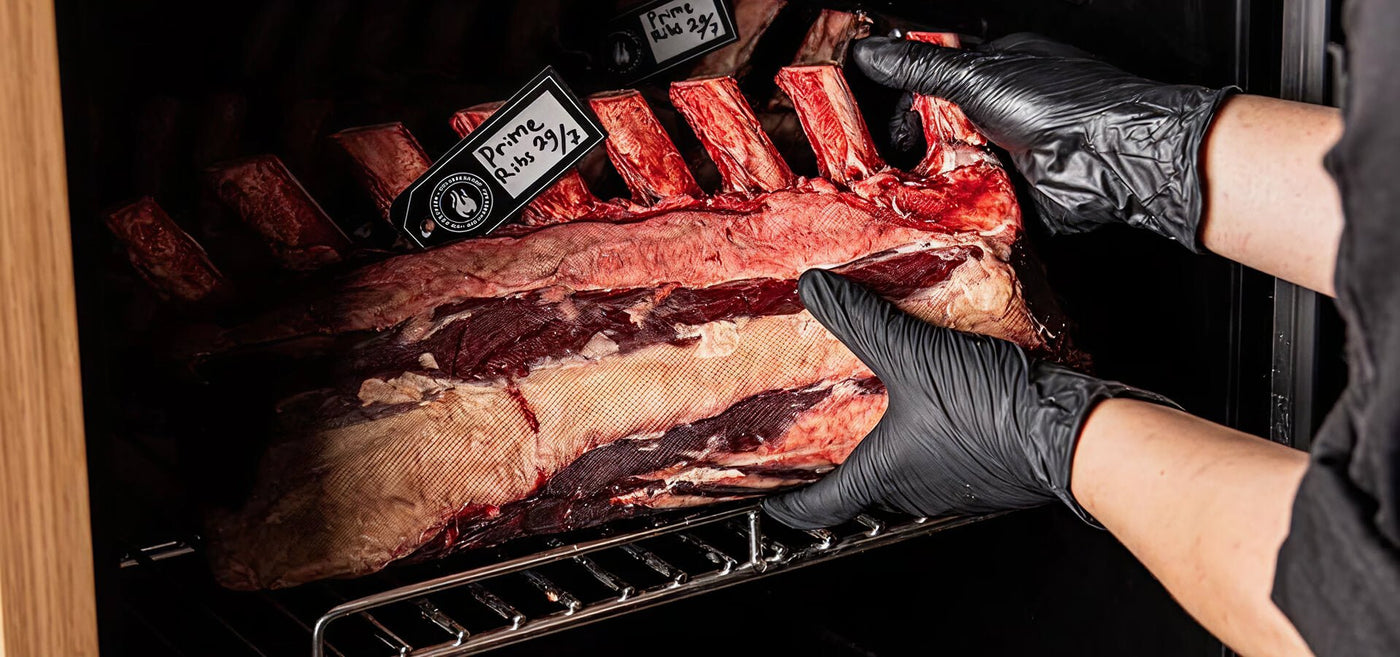 Talho Online - José Ignácio